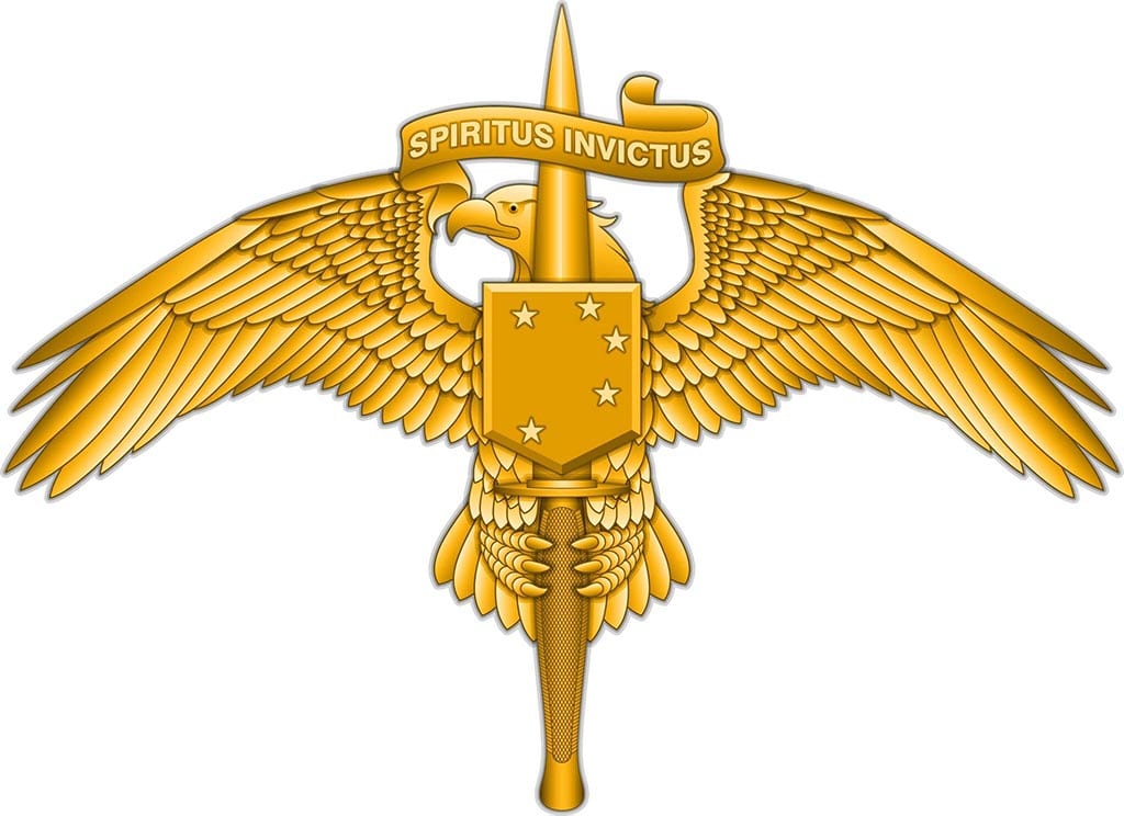 New Uniform Insignia for MARSOC Marines | Defense Media Network